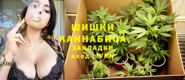 прущие грибы Гусев