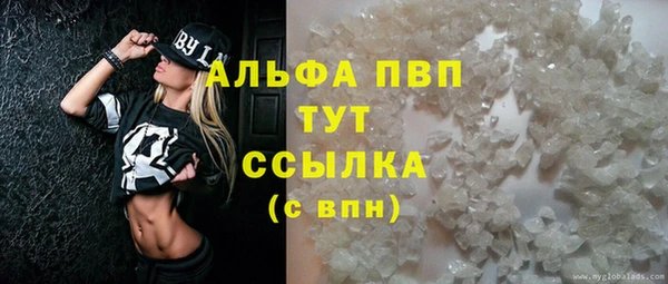 СК Горняк